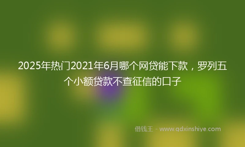 2025年热门2021年6月哪个网贷能下款，罗列五个小额贷款不查征信的口子