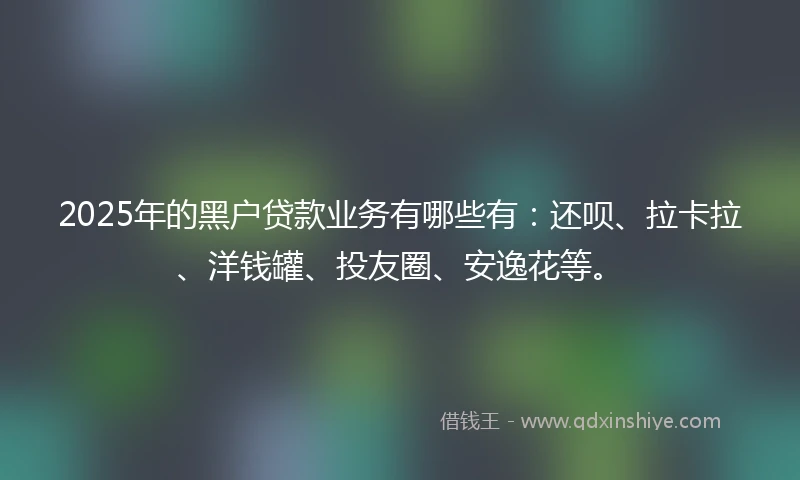 2025年的黑户贷款业务有哪些有：还呗、拉卡拉、洋钱罐、投友圈、安逸花等。