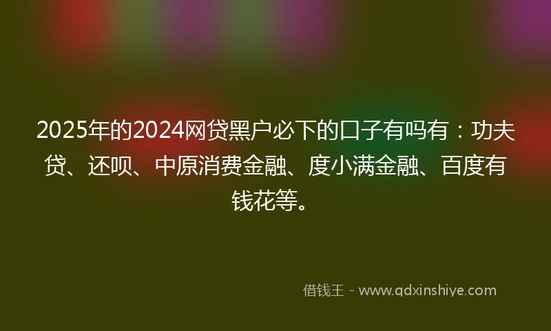 2025年的2024网贷黑户必下的口子有吗有：功夫贷、还呗、中原消费金融、度小满金融、百度有钱花等。