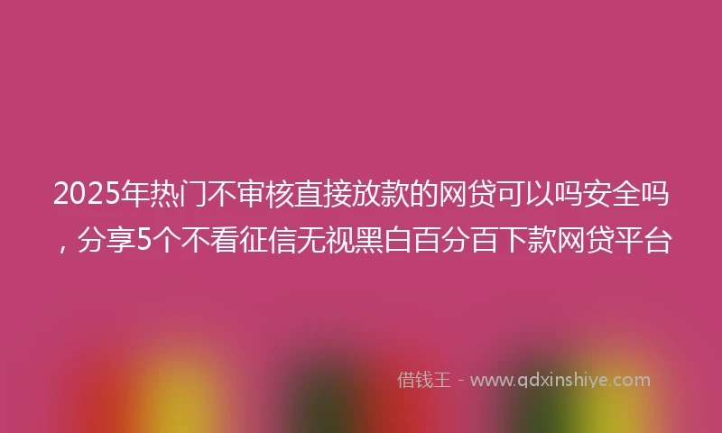 2025年热门不审核直接放款的网贷可以吗安全吗，分享5个不看征信无视黑白百分百下款网贷平台