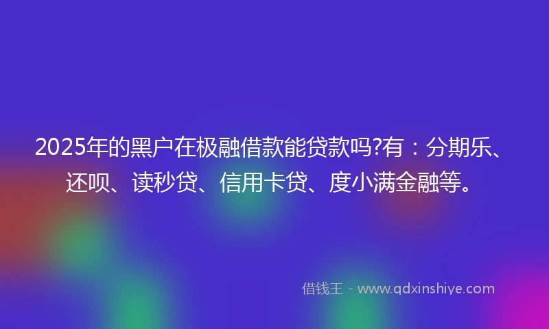 2025年的黑户在极融借款能贷款吗?有：分期乐、还呗、读秒贷、信用卡贷、度小满金融等。