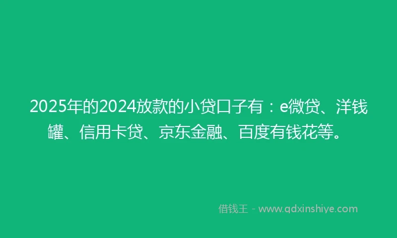 2025年的2024放款的小贷口子有：e微贷、洋钱罐、信用卡贷、京东金融、百度有钱花等。