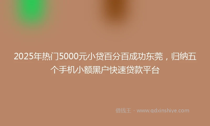 2025年热门5000元小贷百分百成功东莞，归纳五个手机小额黑户快速贷款平台