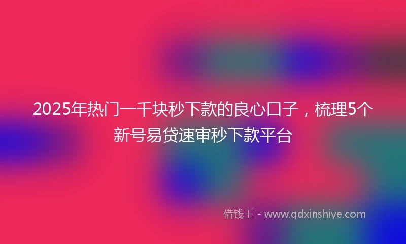 2025年热门一千块秒下款的良心口子，梳理5个新号易贷速审秒下款平台