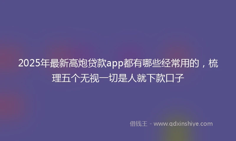 2025年最新高炮贷款app都有哪些经常用的，梳理五个无视一切是人就下款口子
