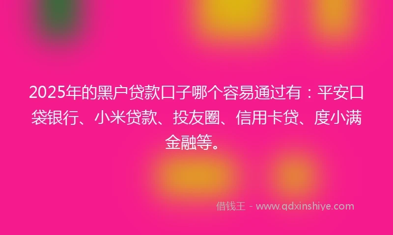 2025年的黑户贷款口子哪个容易通过有：平安口袋银行、小米贷款、投友圈、信用卡贷、度小满金融等。