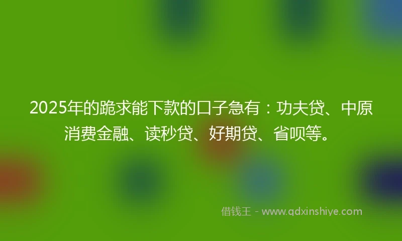 2025年的跪求能下款的口子急有：功夫贷、中原消费金融、读秒贷、好期贷、省呗等。