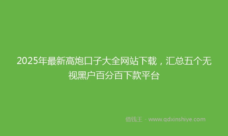 2025年最新高炮口子大全网站下载，汇总五个无视黑户百分百下款平台