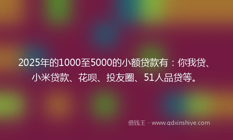 2025年的1000至5000的小额贷款有：你我贷、小米贷款、花呗、投友圈、51人品贷等。