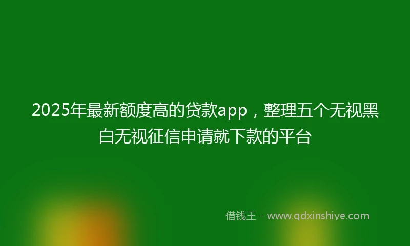 2025年最新额度高的贷款app，整理五个无视黑白无视征信申请就下款的平台