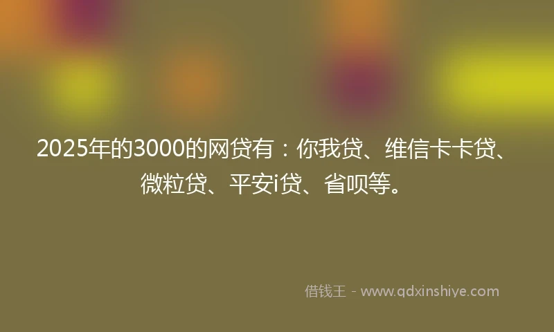 2025年的3000的网贷有：你我贷、维信卡卡贷、微粒贷、平安i贷、省呗等。