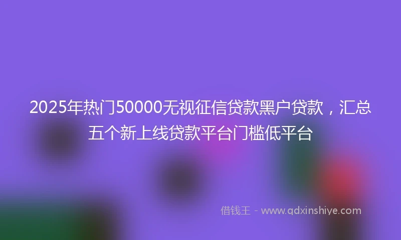 2025年热门50000无视征信贷款黑户贷款，汇总五个新上线贷款平台门槛低平台