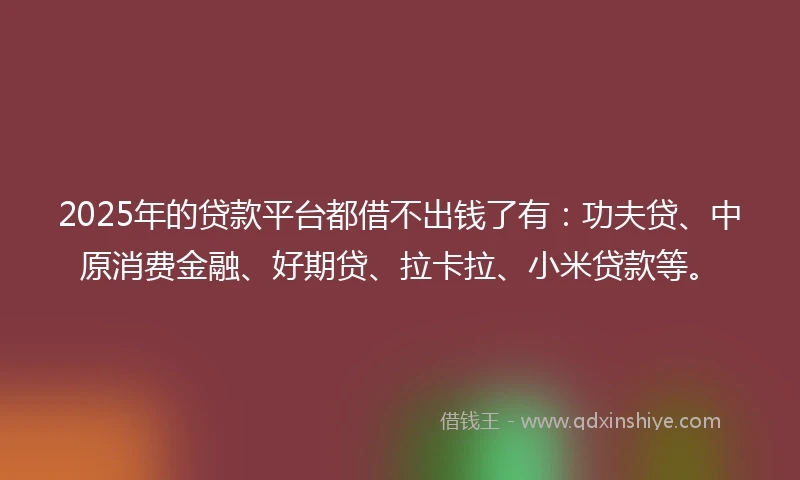 2025年的贷款平台都借不出钱了有：功夫贷、中原消费金融、好期贷、拉卡拉、小米贷款等。