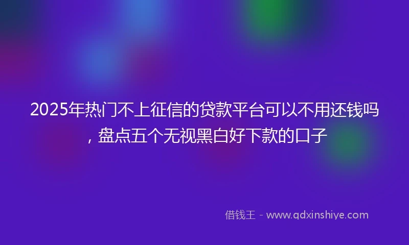 2025年热门不上征信的贷款平台可以不用还钱吗，盘点五个无视黑白好下款的口子