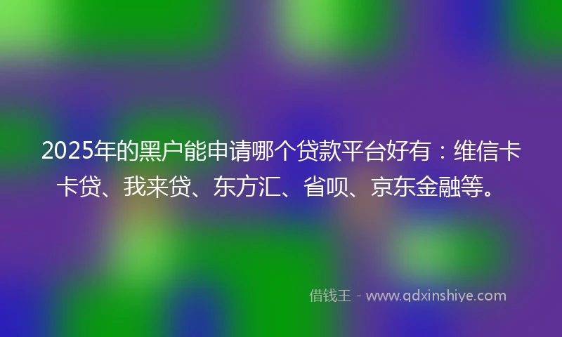 2025年的黑户能申请哪个贷款平台好有：维信卡卡贷、我来贷、东方汇、省呗、京东金融等。