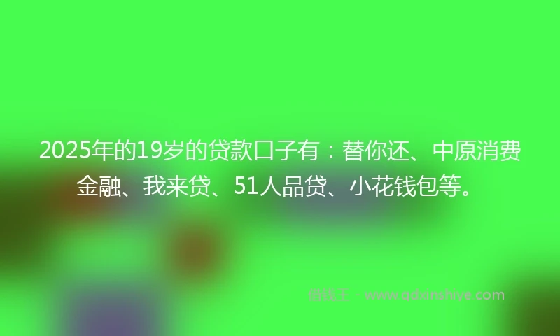 2025年的19岁的贷款口子有：替你还、中原消费金融、我来贷、51人品贷、小花钱包等。