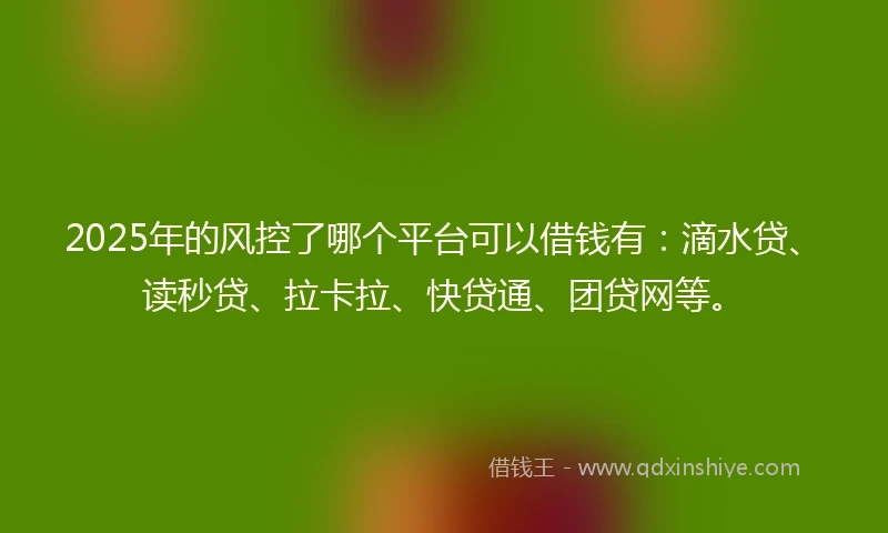 2025年的风控了哪个平台可以借钱有：滴水贷、读秒贷、拉卡拉、快贷通、团贷网等。