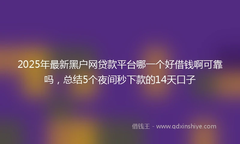 2025年最新黑户网贷款平台哪一个好借钱啊可靠吗，总结5个夜间秒下款的14天口子