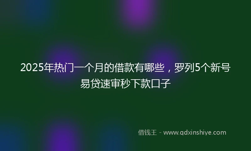 2025年热门一个月的借款有哪些，罗列5个新号易贷速审秒下款口子