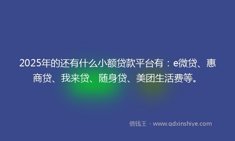 2025年的还有什么小额贷款平台有：e微贷、惠商贷、我来贷、随身贷、美团生活费等。