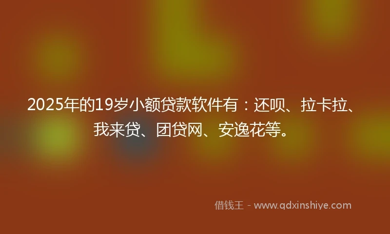 2025年的19岁小额贷款软件有：还呗、拉卡拉、我来贷、团贷网、安逸花等。