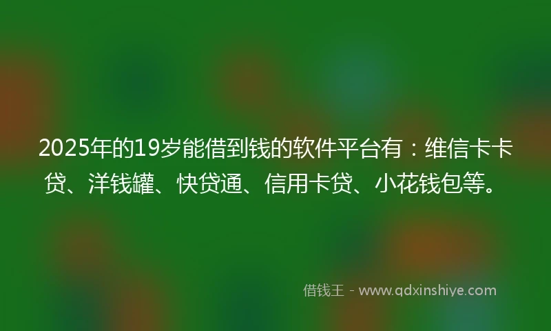 2025年的19岁能借到钱的软件平台有：维信卡卡贷、洋钱罐、快贷通、信用卡贷、小花钱包等。