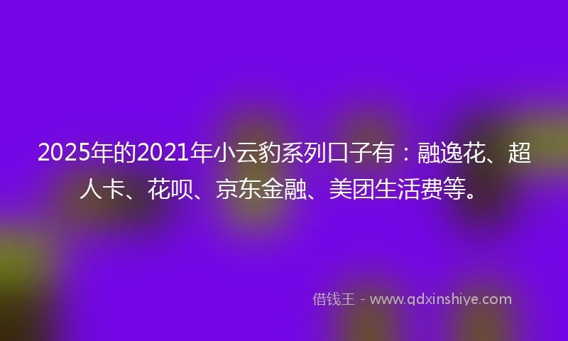 2025年的2021年小云豹系列口子有：融逸花、超人卡、花呗、京东金融、美团生活费等。