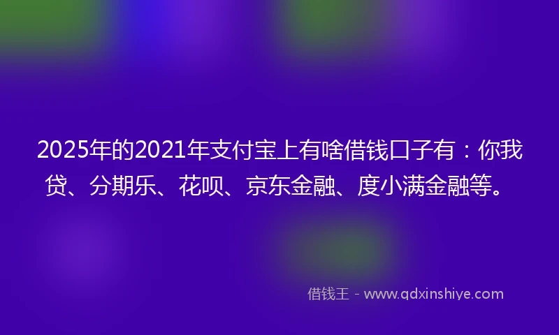 2025年的2021年支付宝上有啥借钱口子有：你我贷、分期乐、花呗、京东金融、度小满金融等。