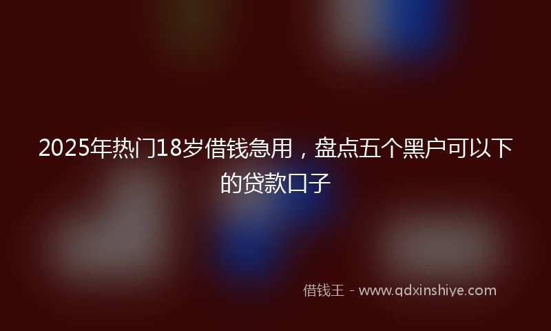 2025年热门18岁借钱急用，盘点五个黑户可以下的贷款口子