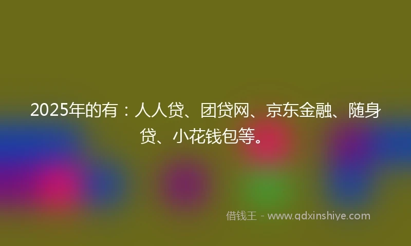 2025年的有：人人贷、团贷网、京东金融、随身贷、小花钱包等。