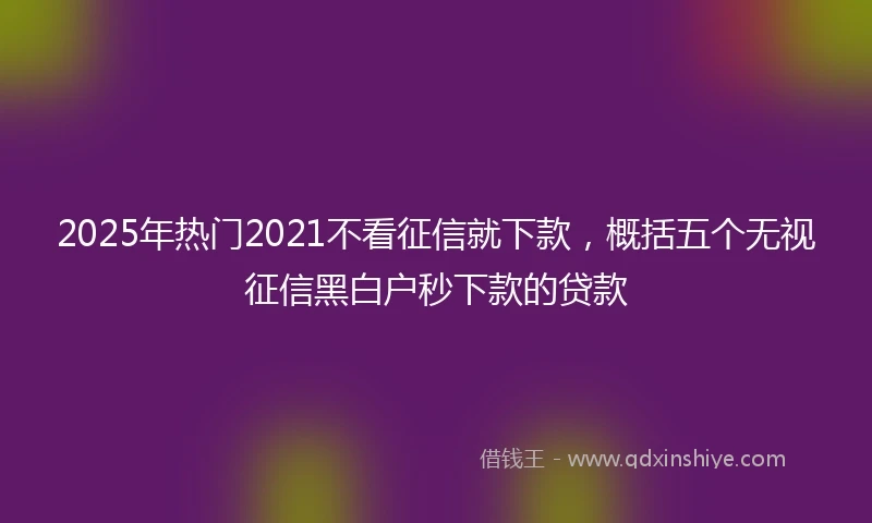 2025年热门2021不看征信就下款，概括五个无视征信黑白户秒下款的贷款