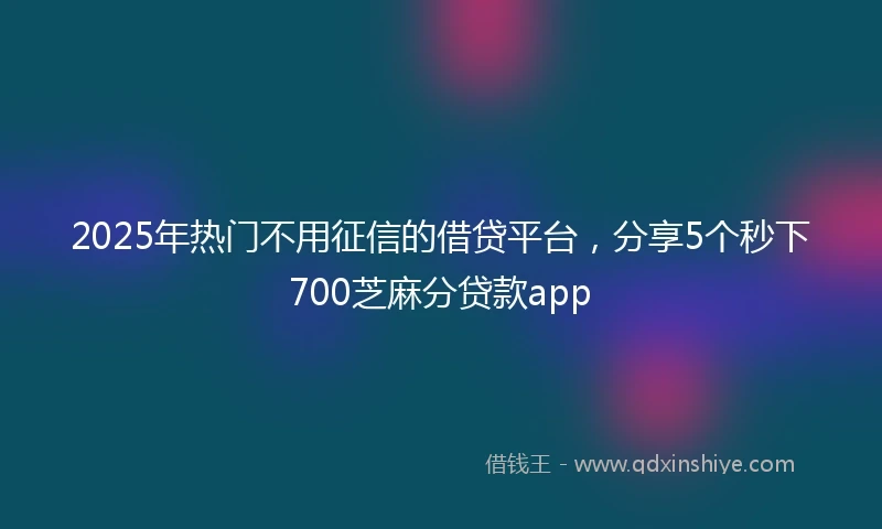 2025年热门不用征信的借贷平台，分享5个秒下700芝麻分贷款app
