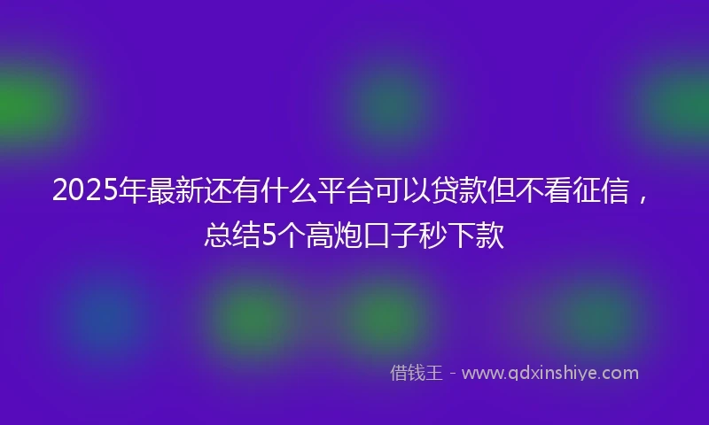 2025年最新还有什么平台可以贷款但不看征信，总结5个高炮口子秒下款