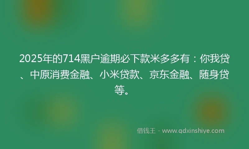 2025年的714黑户逾期必下款米多多有：你我贷、中原消费金融、小米贷款、京东金融、随身贷等。