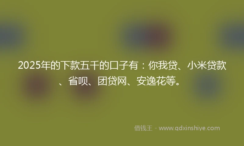 2025年的下款五千的口子有：你我贷、小米贷款、省呗、团贷网、安逸花等。
