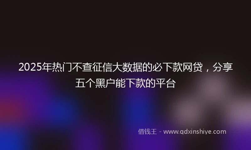 2025年热门不查征信大数据的必下款网贷，分享五个黑户能下款的平台