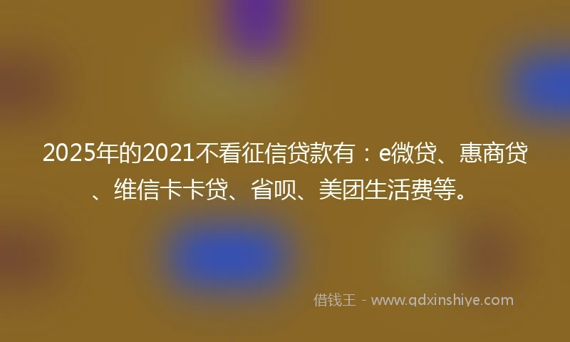 2025年的2021不看征信贷款有：e微贷、惠商贷、维信卡卡贷、省呗、美团生活费等。