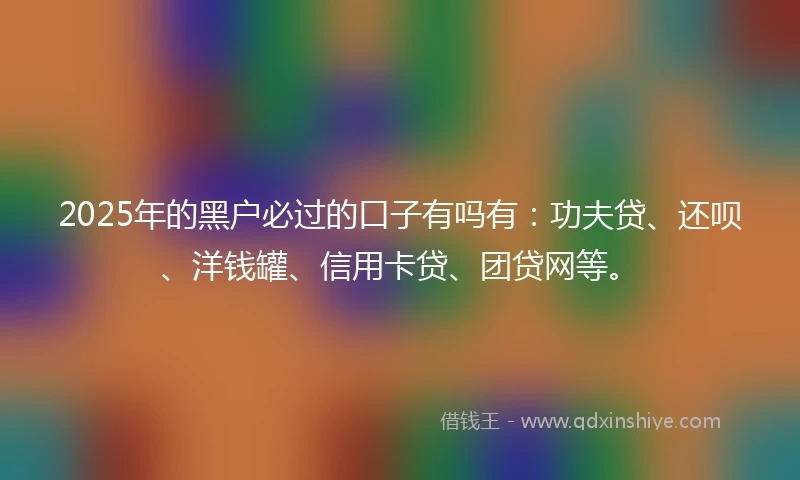 2025年的黑户必过的口子有吗有：功夫贷、还呗、洋钱罐、信用卡贷、团贷网等。