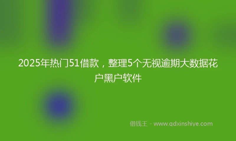 2025年热门51借款，整理5个无视逾期大数据花户黑户软件