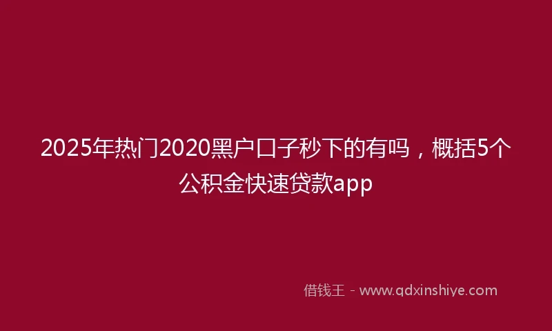 2025年热门2020黑户口子秒下的有吗，概括5个公积金快速贷款app