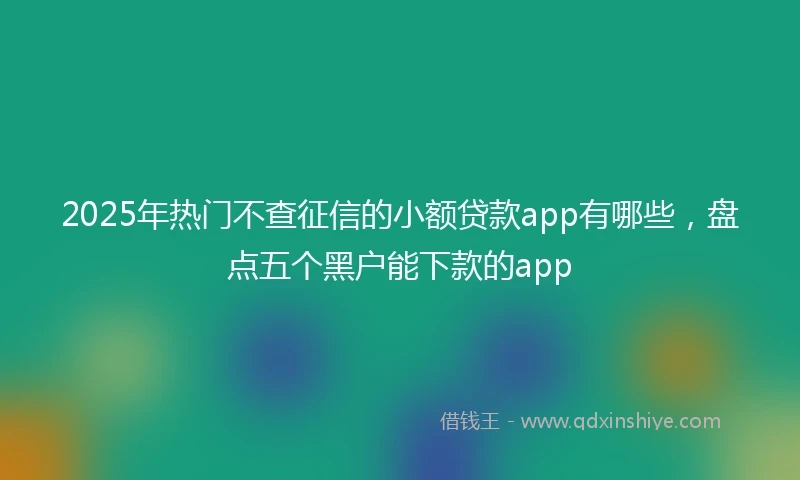 2025年热门不查征信的小额贷款app有哪些，盘点五个黑户能下款的app