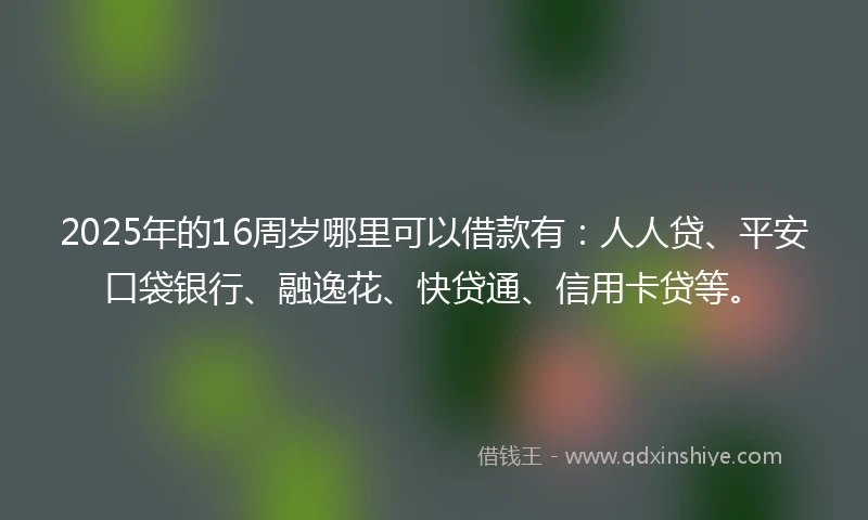 2025年的16周岁哪里可以借款有：人人贷、平安口袋银行、融逸花、快贷通、信用卡贷等。
