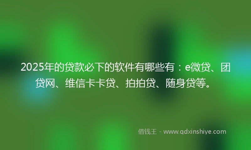 2025年的贷款必下的软件有哪些有：e微贷、团贷网、维信卡卡贷、拍拍贷、随身贷等。