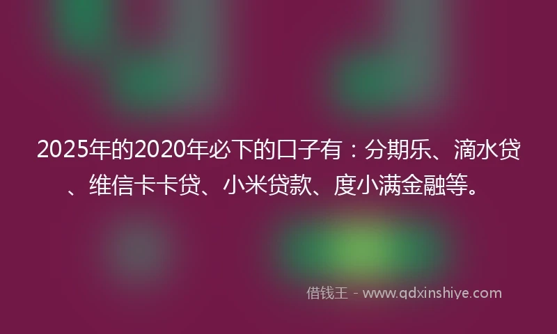 2025年的2020年必下的口子有：分期乐、滴水贷、维信卡卡贷、小米贷款、度小满金融等。