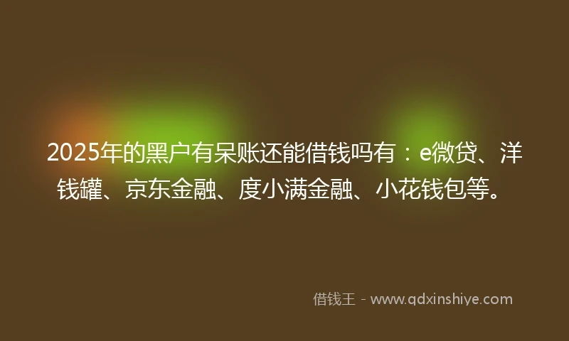 2025年的黑户有呆账还能借钱吗有：e微贷、洋钱罐、京东金融、度小满金融、小花钱包等。