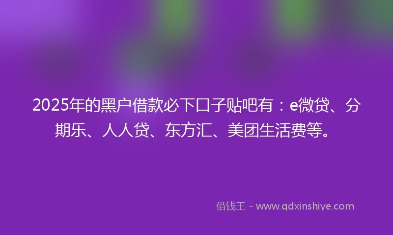 2025年的黑户借款必下口子贴吧有：e微贷、分期乐、人人贷、东方汇、美团生活费等。