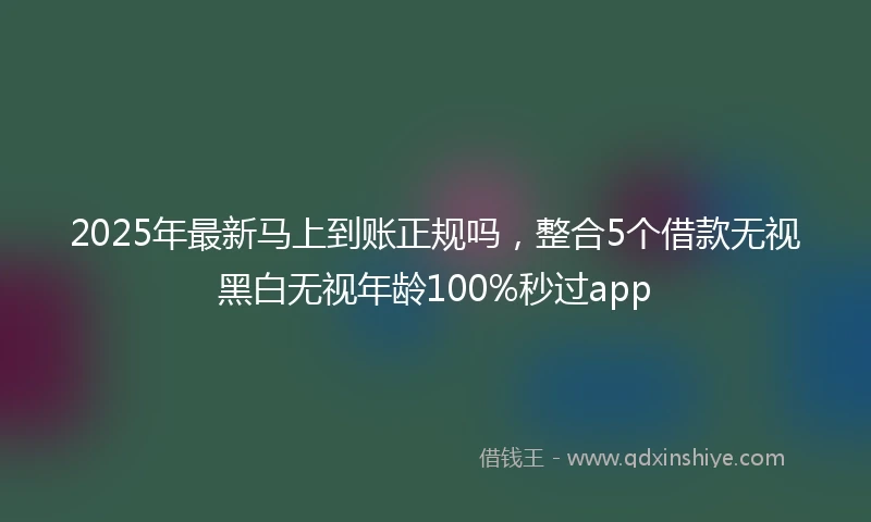 2025年最新马上到账正规吗，整合5个借款无视黑白无视年龄100%秒过app