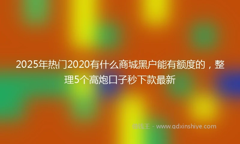 2025年热门2020有什么商城黑户能有额度的，整理5个高炮口子秒下款最新