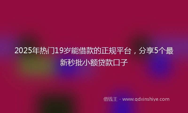 2025年热门19岁能借款的正规平台，分享5个最新秒批小额贷款口子