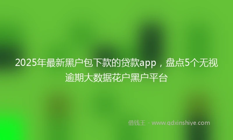 2025年最新黑户包下款的贷款app，盘点5个无视逾期大数据花户黑户平台
